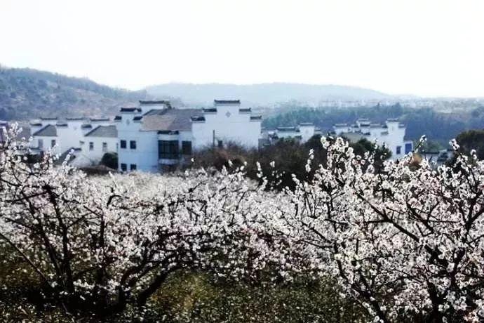 丧尸围城4